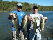 image Largemouth Bass & Cat 001.JPG